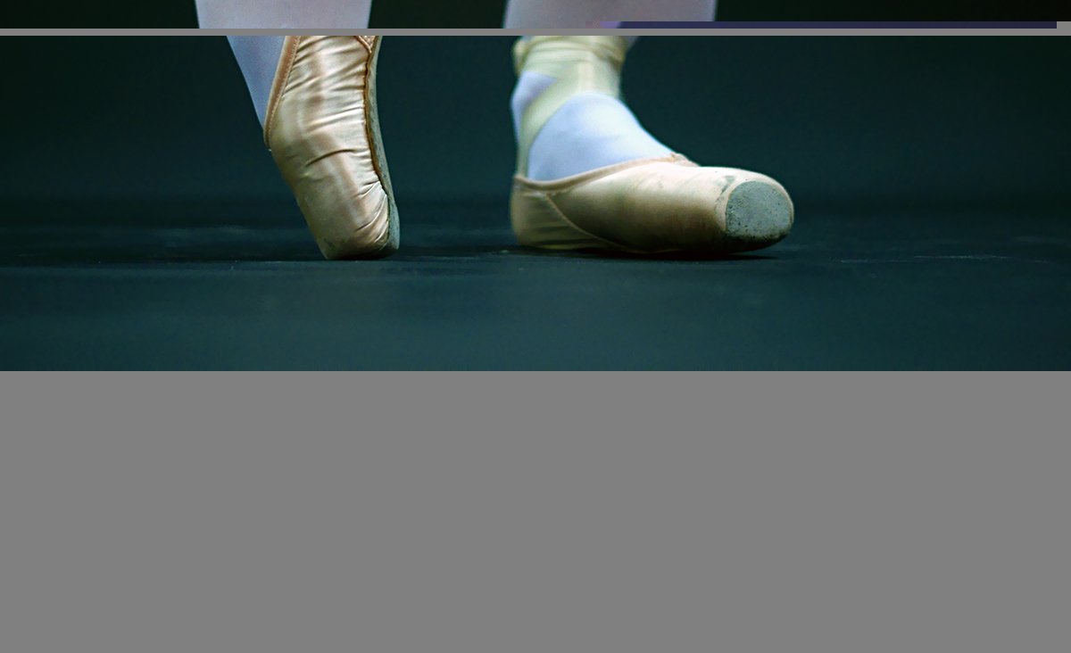 pointe class image